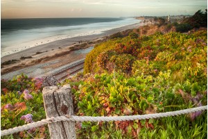 Coastal Cliffs